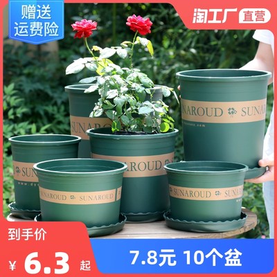 花卉網(wǎng)購熱潮 綠植經(jīng)濟(jì)與生活美學(xué)的數(shù)字融合