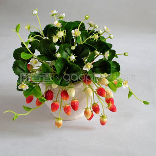 泥花藝術(shù) 家庭裝飾中的草莓壺花卉